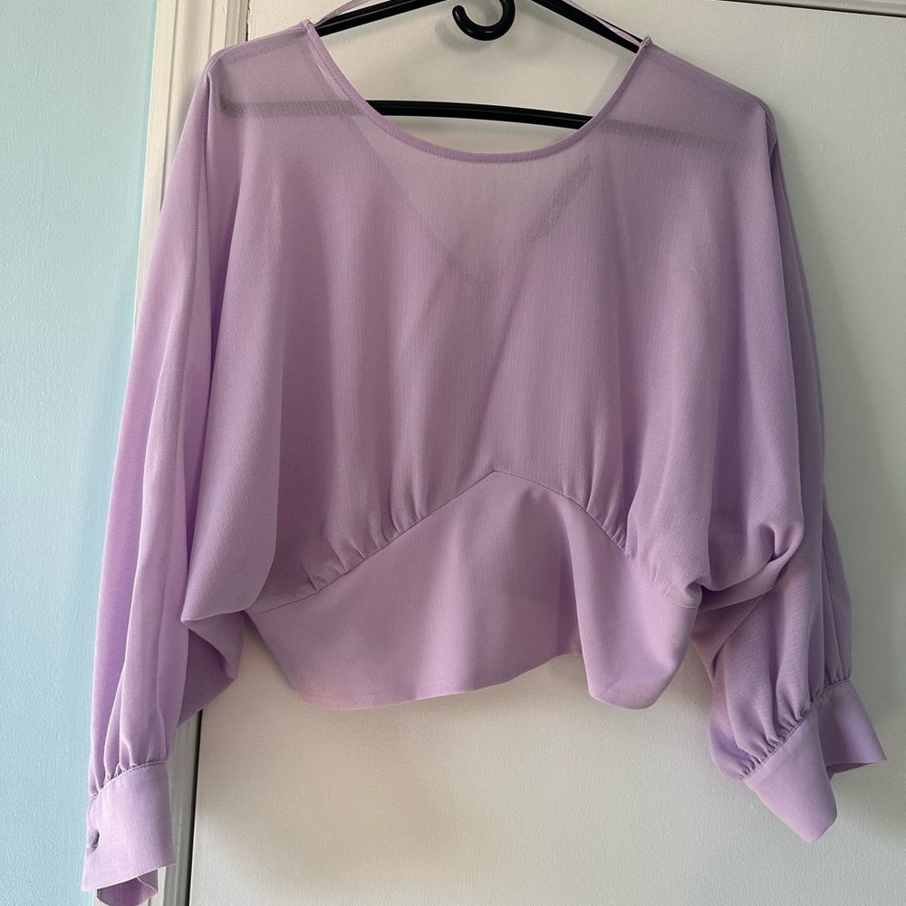 Zara Purple crop top